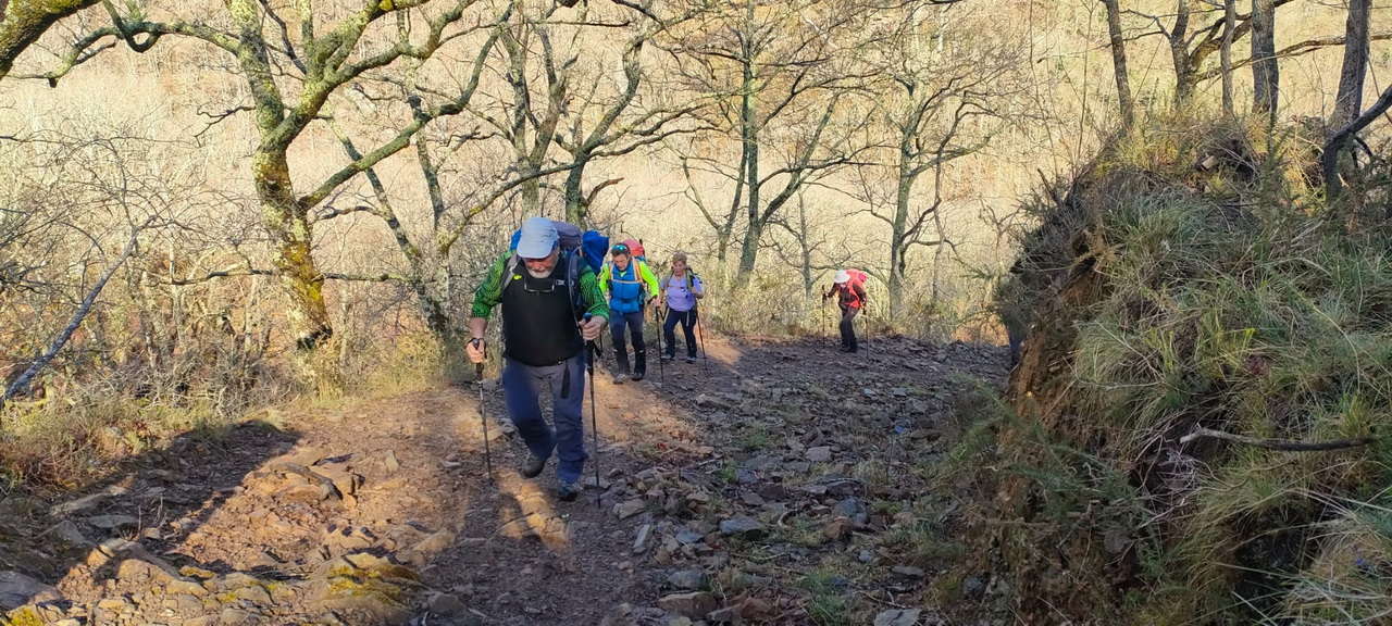 WhatsApp Image 2026-03-08 at 21.27.45 (2)